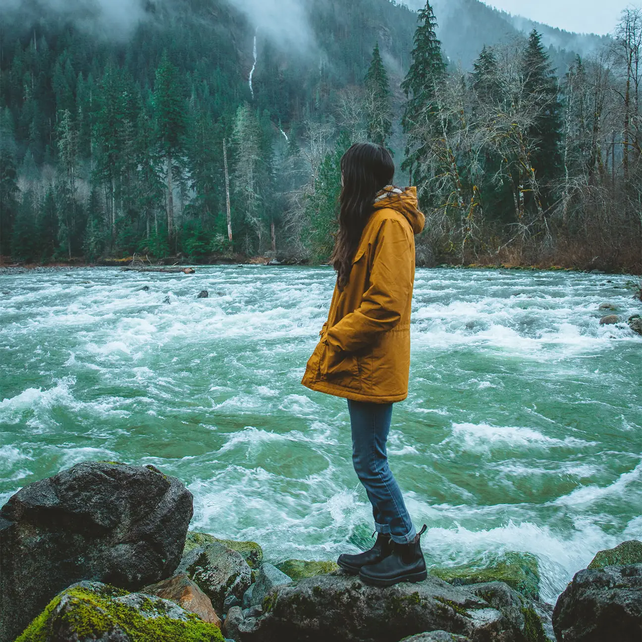 Blundstone 558 Classic Boots Black